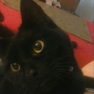 Meet your Posher, Chelsea